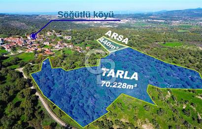 AYVACIK SÖĞÜTLÜDE BİR KISMI İMARDA 70 DÖNÜM YATIRIMLIK ARAZİ