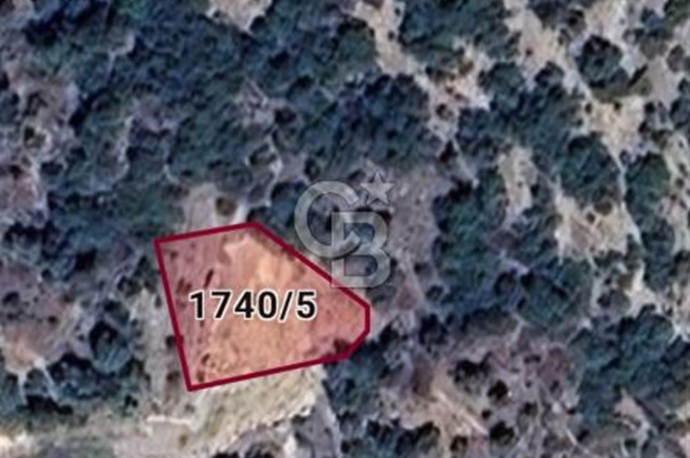 Adana Kozan Aslanpaşa İmarlı Arsa