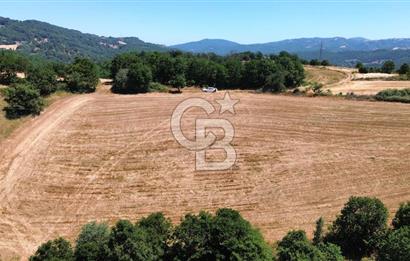 ECEABAT SEDDÜLBAHİR KÖYÜ'NDE SATILIK 5102 M2 TARLA