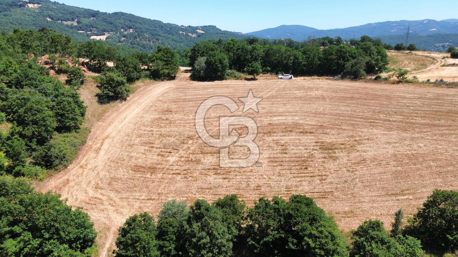 ECEABAT SEDDÜLBAHİR KÖYÜ'NDE SATILIK 5102 M2 TARLA
