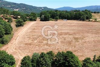 ECEABAT SEDDÜLBAHİR KÖYÜ'NDE SATILIK 5102 M2 TARLA - 1 - 318999