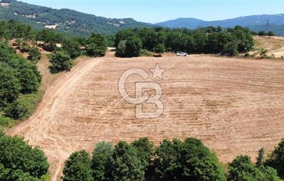 ECEABAT SEDDÜLBAHİR KÖYÜ'NDE SATILIK 5102 M2 TARLA