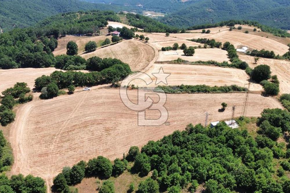 ECEABAT SEDDÜLBAHİR KÖYÜ'NDE SATILIK 5102 M2 TARLA