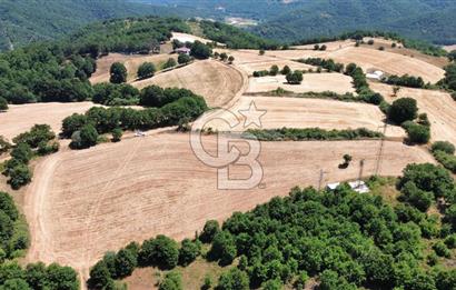 ECEABAT SEDDÜLBAHİR KÖYÜ'NDE SATILIK 5102 M2 TARLA