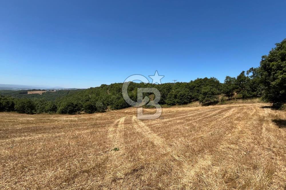 ECEABAT SEDDÜLBAHİR KÖYÜ'NDE SATILIK 5102 M2 TARLA