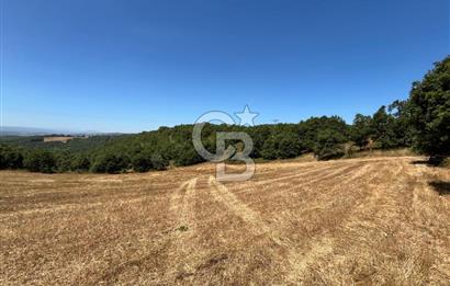 ECEABAT SEDDÜLBAHİR KÖYÜ'NDE SATILIK 5102 M2 TARLA