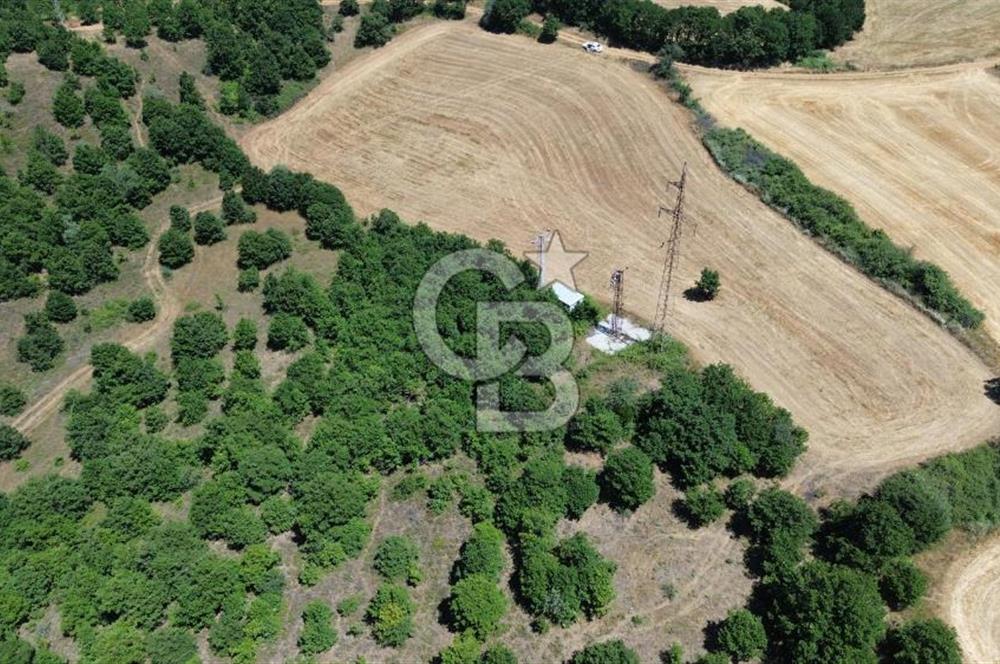 ECEABAT SEDDÜLBAHİR KÖYÜ'NDE SATILIK 5102 M2 TARLA