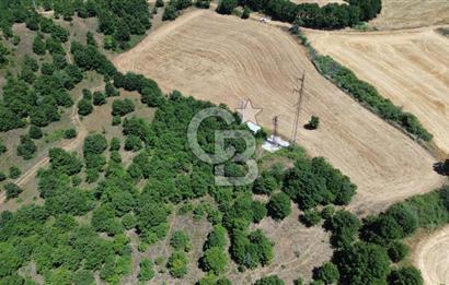 ECEABAT SEDDÜLBAHİR KÖYÜ'NDE SATILIK 5102 M2 TARLA