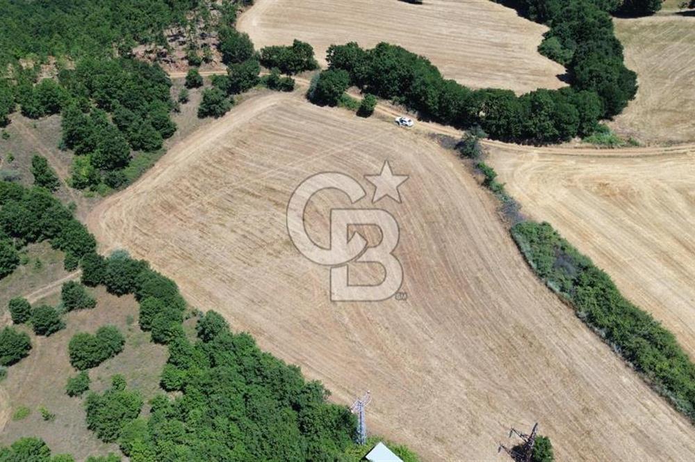 ECEABAT SEDDÜLBAHİR KÖYÜ'NDE SATILIK 5102 M2 TARLA