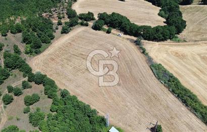 ECEABAT SEDDÜLBAHİR KÖYÜ'NDE SATILIK 5102 M2 TARLA