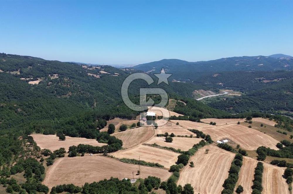 ECEABAT SEDDÜLBAHİR KÖYÜ'NDE SATILIK 5102 M2 TARLA