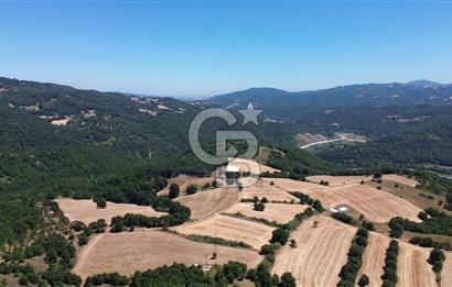 ECEABAT SEDDÜLBAHİR KÖYÜ'NDE SATILIK 5102 M2 TARLA