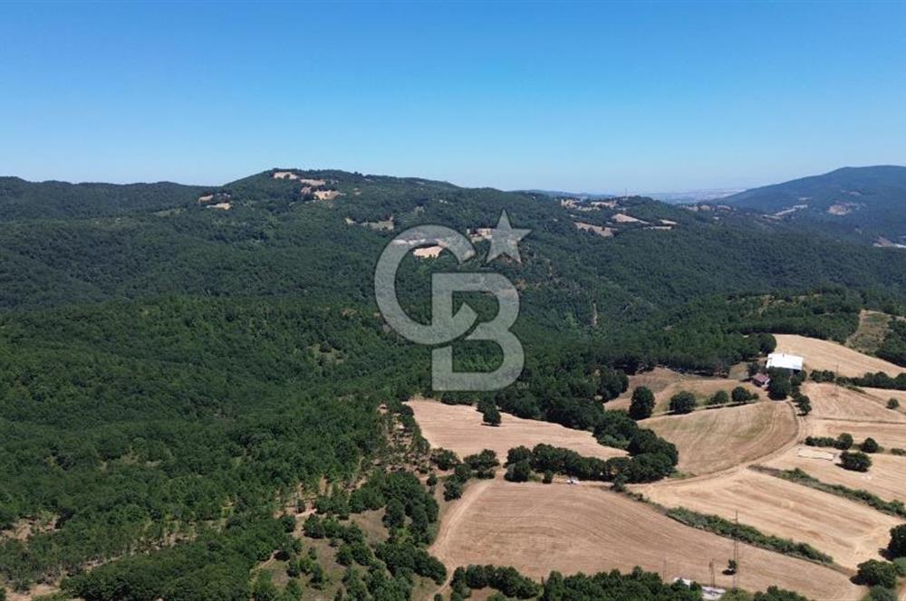 ECEABAT SEDDÜLBAHİR KÖYÜ'NDE SATILIK 5102 M2 TARLA