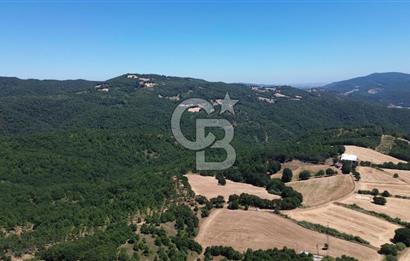 ECEABAT SEDDÜLBAHİR KÖYÜ'NDE SATILIK 5102 M2 TARLA