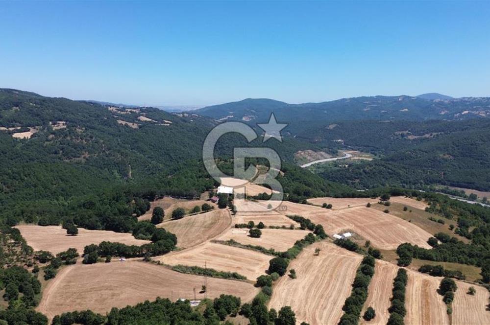 ECEABAT SEDDÜLBAHİR KÖYÜ'NDE SATILIK 5102 M2 TARLA
