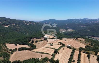 ECEABAT SEDDÜLBAHİR KÖYÜ'NDE SATILIK 5102 M2 TARLA
