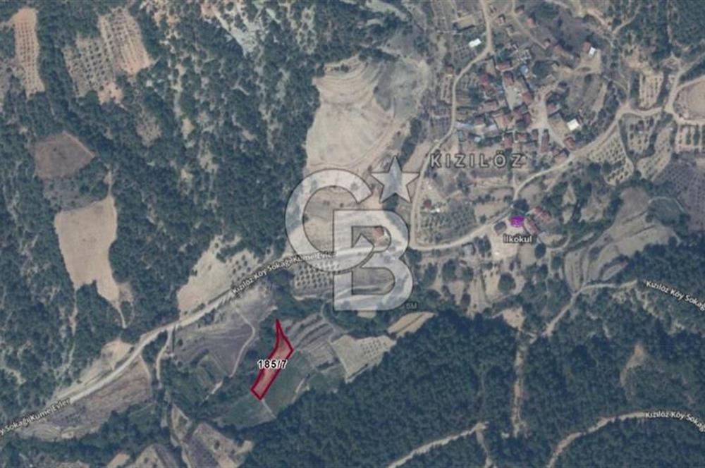 BİLECİK OSMANELİ KIZILÖZ KÖYÜNDE KAZANÇLI YATIRIMLIK TARLA