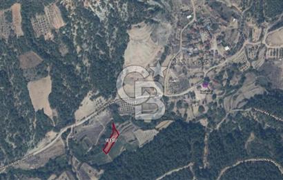 BİLECİK OSMANELİ KIZILÖZ KÖYÜNDE KAZANÇLI YATIRIMLIK TARLA