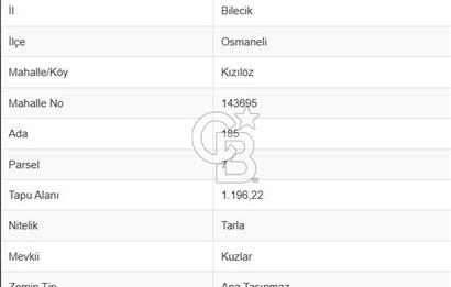 BİLECİK OSMANELİ KIZILÖZ KÖYÜNDE KAZANÇLI YATIRIMLIK TARLA