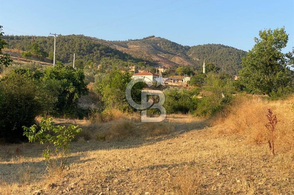 BİLECİK OSMANELİ KIZILÖZ KÖYÜNDE KAZANÇLI YATIRIMLIK TARLA