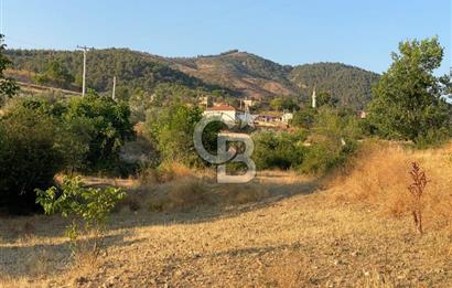 BİLECİK OSMANELİ KIZILÖZ KÖYÜNDE KAZANÇLI YATIRIMLIK TARLA