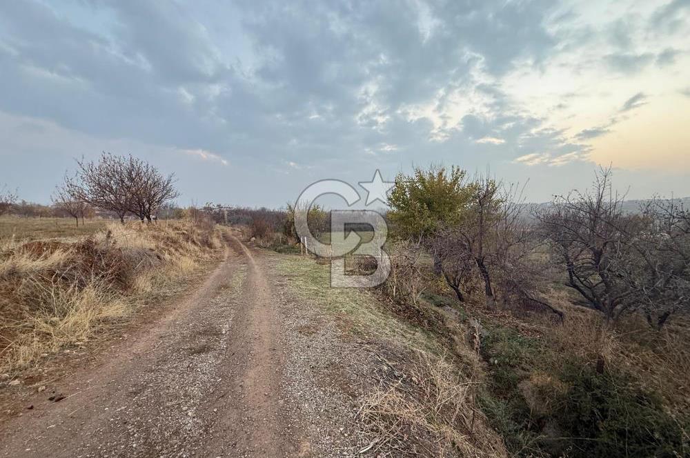 COLDWELL BANKER SAFİR'den SAMANKÖY de 30.953 m² SATILIK BAHÇE