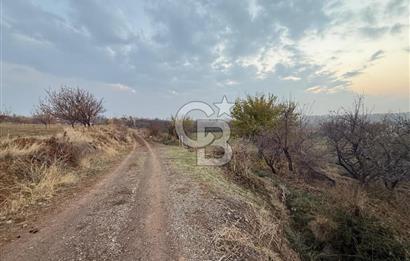 COLDWELL BANKER SAFİR'den SAMANKÖY de 30.953 m² SATILIK BAHÇE