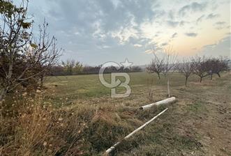 COLDWELL BANKER SAFİR'den SAMANKÖY de 30.953 m² SATILIK BAHÇE - 2 - 318980