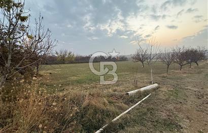 COLDWELL BANKER SAFİR'den SAMANKÖY de 30.953 m² SATILIK BAHÇE