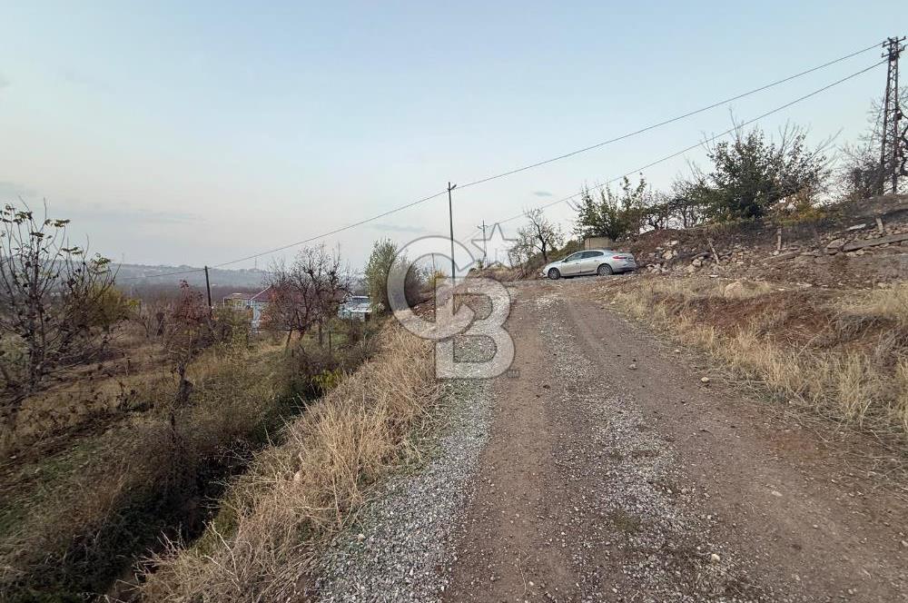 COLDWELL BANKER SAFİR'den SAMANKÖY de 30.953 m² SATILIK BAHÇE