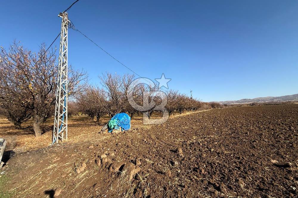 COLDWELL BANKER SAFİR'den BULGURLU da 21.693 m² SATILIK TARLA