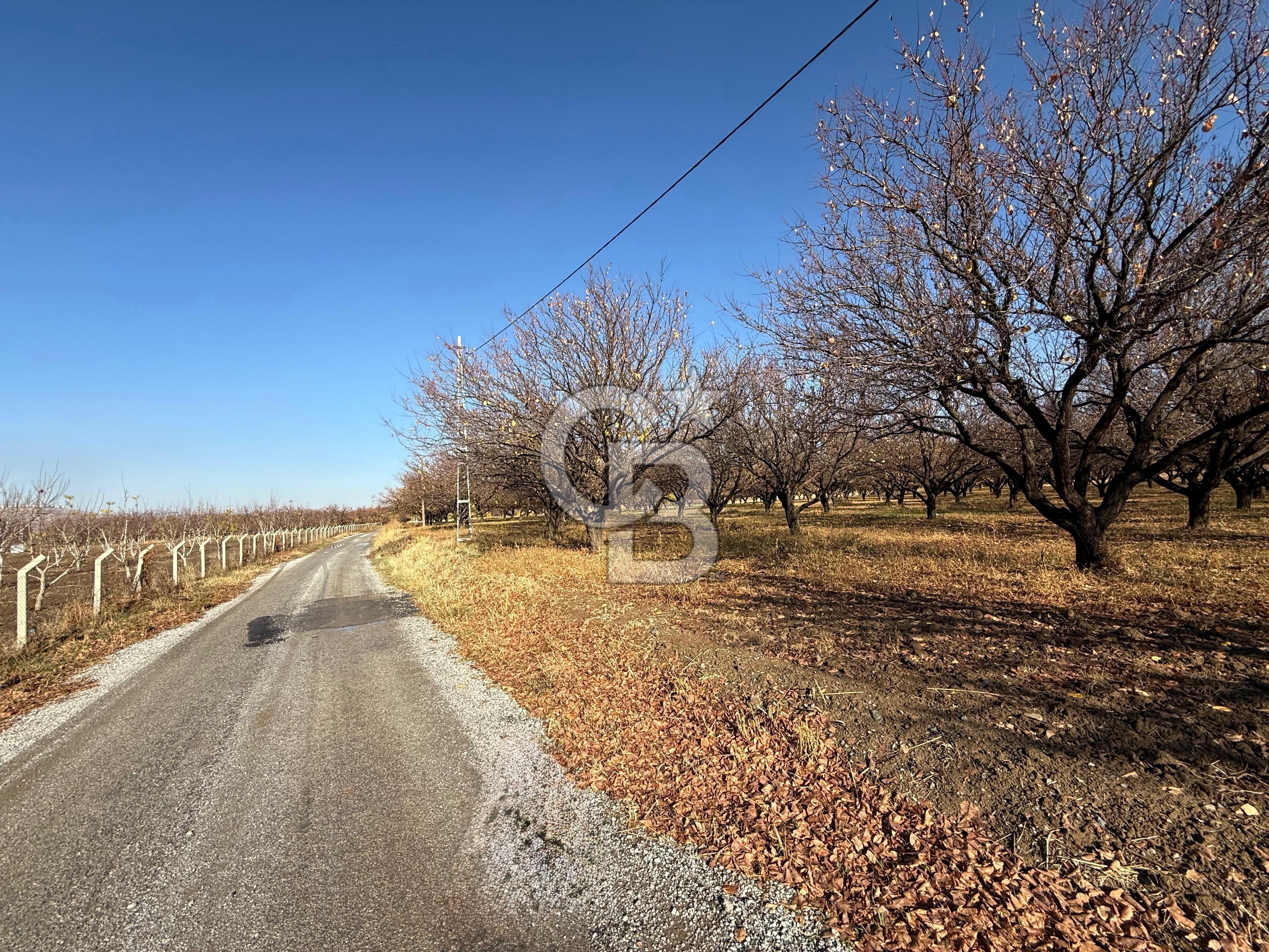 COLDWELL BANKER SAFİR'den BULGURLU da 21.693 m² SATILIK TARLA