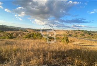 BİGA BEKİRLİDE 4 DÖNÜM SATILIK TARLA - 5 - 319006