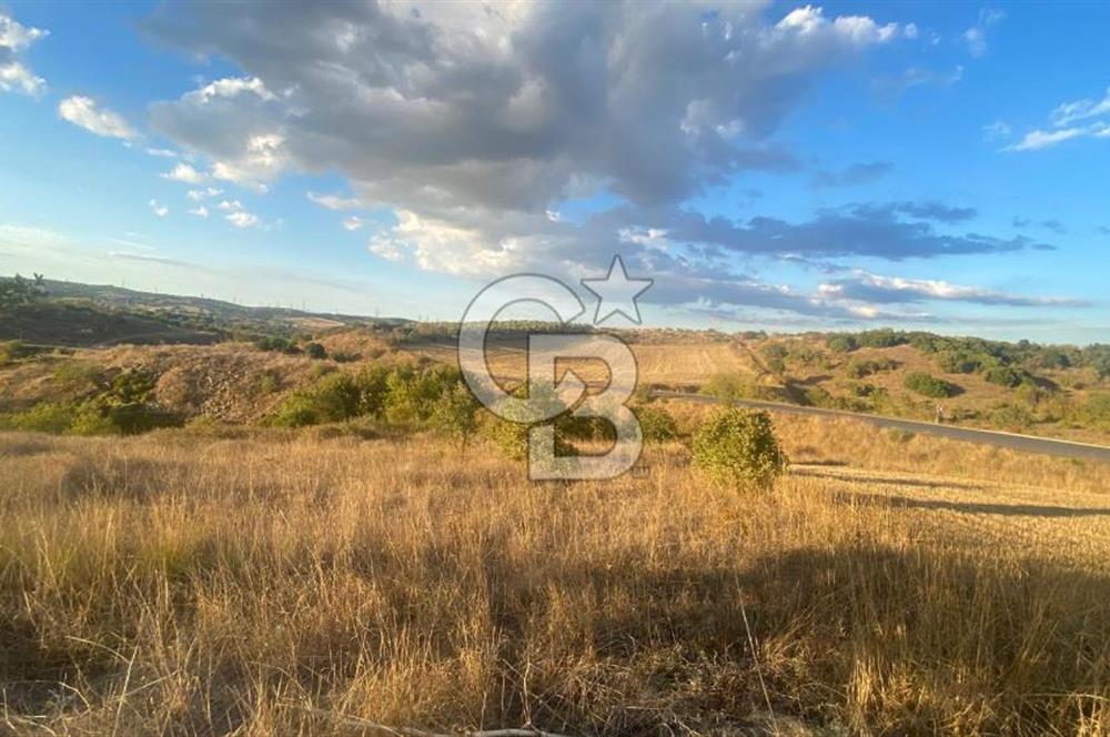 BİGA BEKİRLİDE 4 DÖNÜM SATILIK TARLA