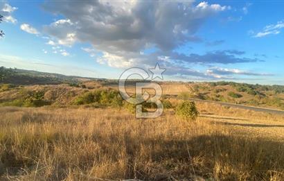 BİGA BEKİRLİDE 4 DÖNÜM SATILIK TARLA