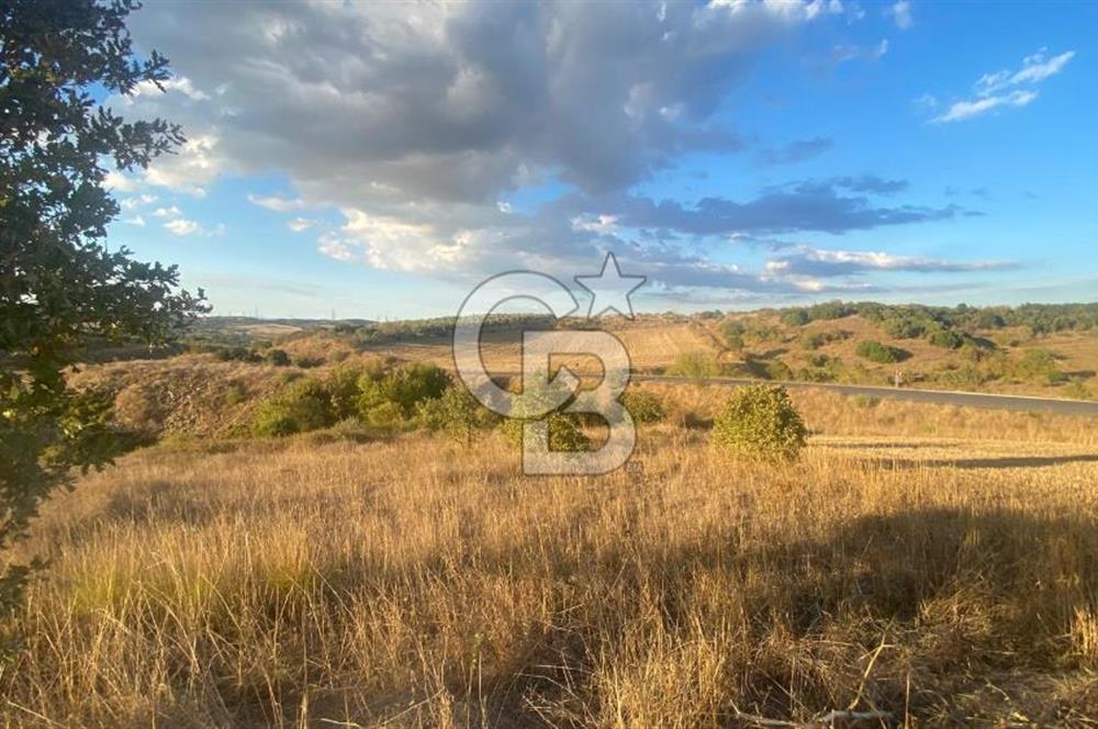 BİGA BEKİRLİDE 4 DÖNÜM SATILIK TARLA