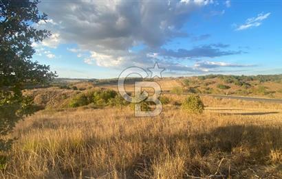 BİGA BEKİRLİDE 4 DÖNÜM SATILIK TARLA