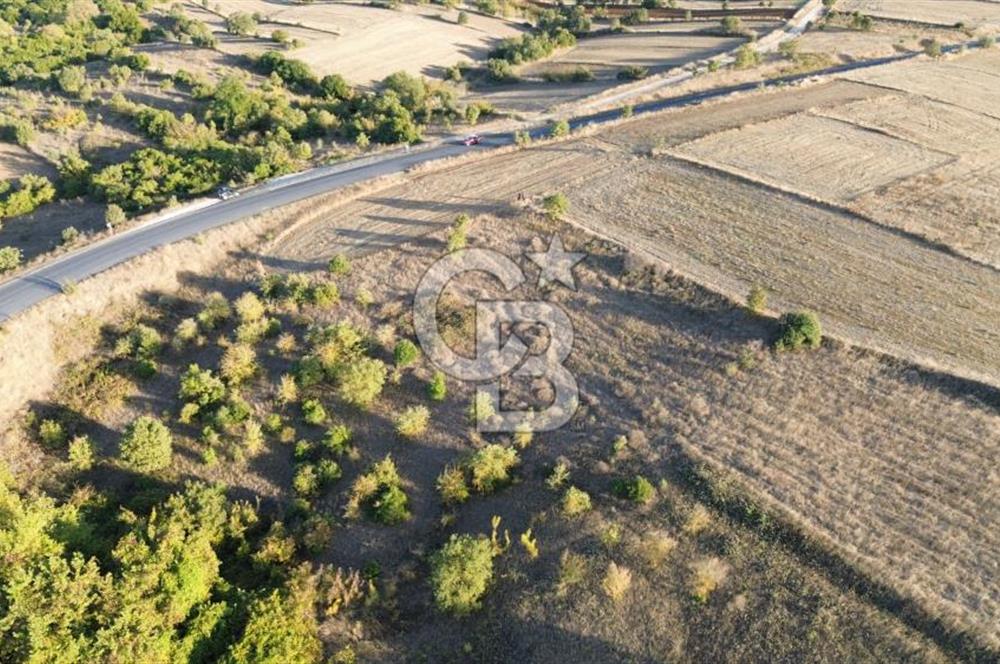 BİGA BEKİRLİDE 4 DÖNÜM SATILIK TARLA