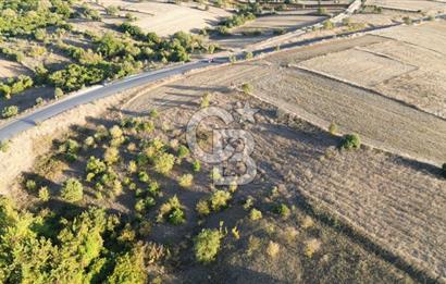 BİGA BEKİRLİDE 4 DÖNÜM SATILIK TARLA