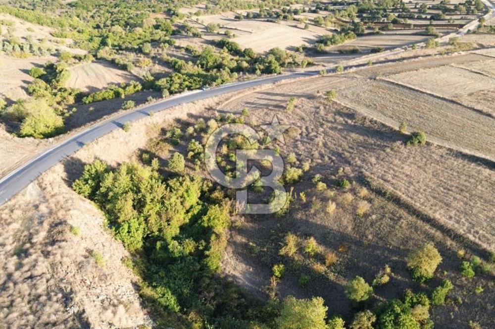 BİGA BEKİRLİDE 4 DÖNÜM SATILIK TARLA