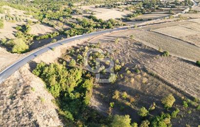 BİGA BEKİRLİDE 4 DÖNÜM SATILIK TARLA