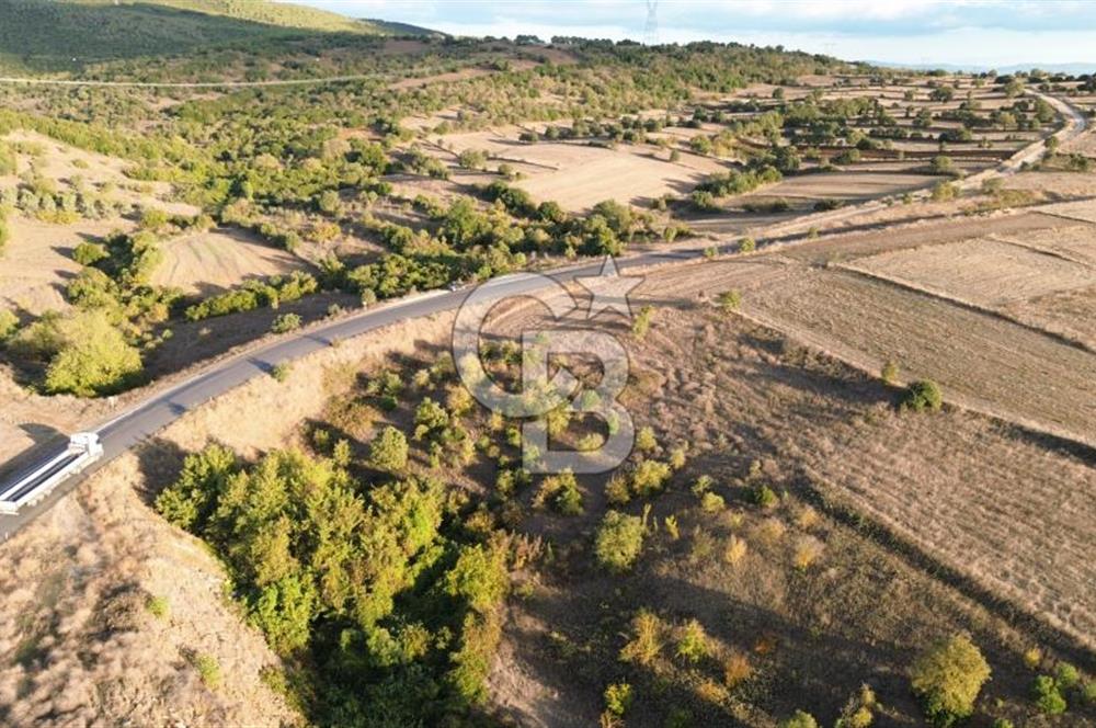 BİGA BEKİRLİDE 4 DÖNÜM SATILIK TARLA