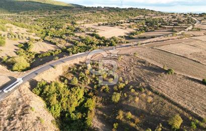 BİGA BEKİRLİDE 4 DÖNÜM SATILIK TARLA