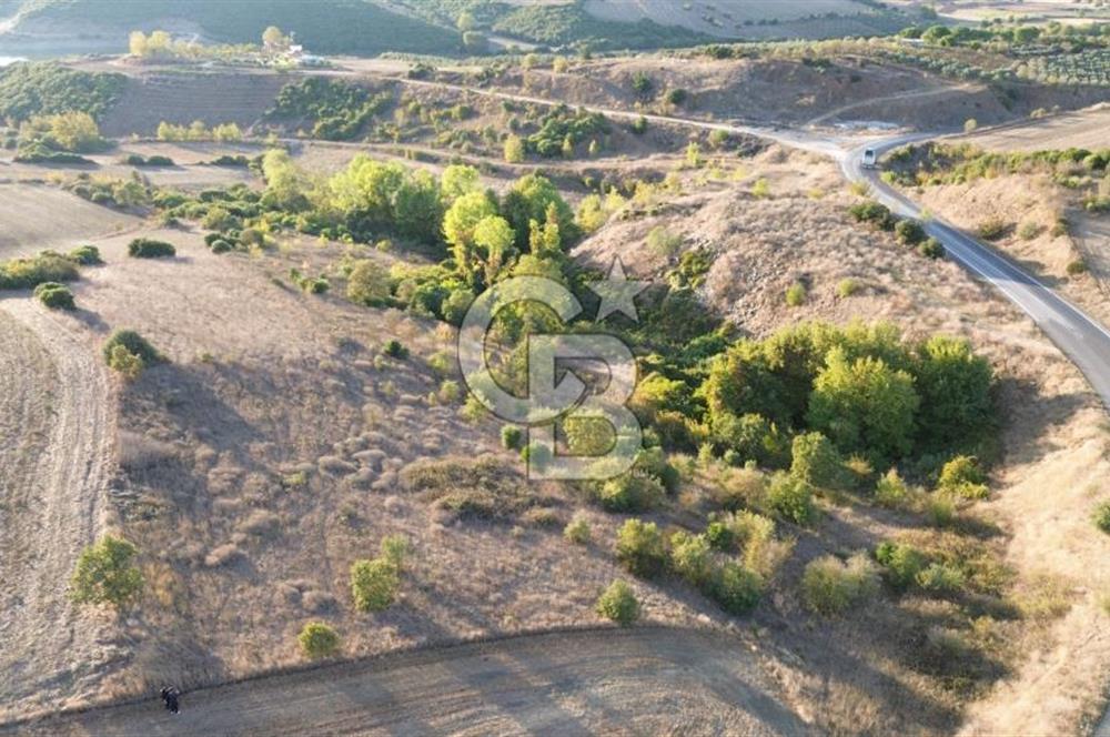 BİGA BEKİRLİDE 4 DÖNÜM SATILIK TARLA