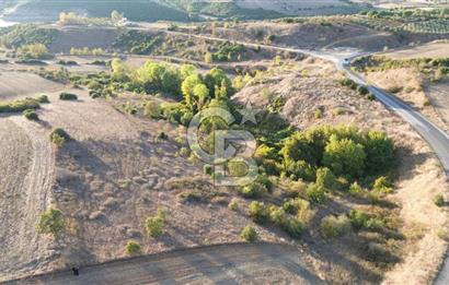 BİGA BEKİRLİDE 4 DÖNÜM SATILIK TARLA