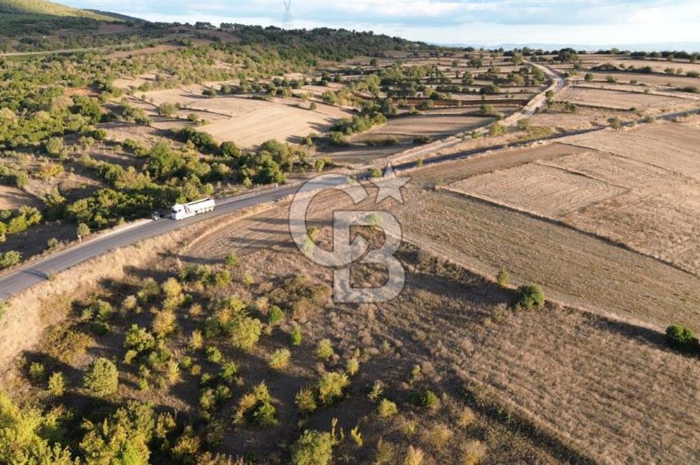 BİGA BEKİRLİDE 4 DÖNÜM SATILIK TARLA