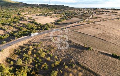 BİGA BEKİRLİDE 4 DÖNÜM SATILIK TARLA