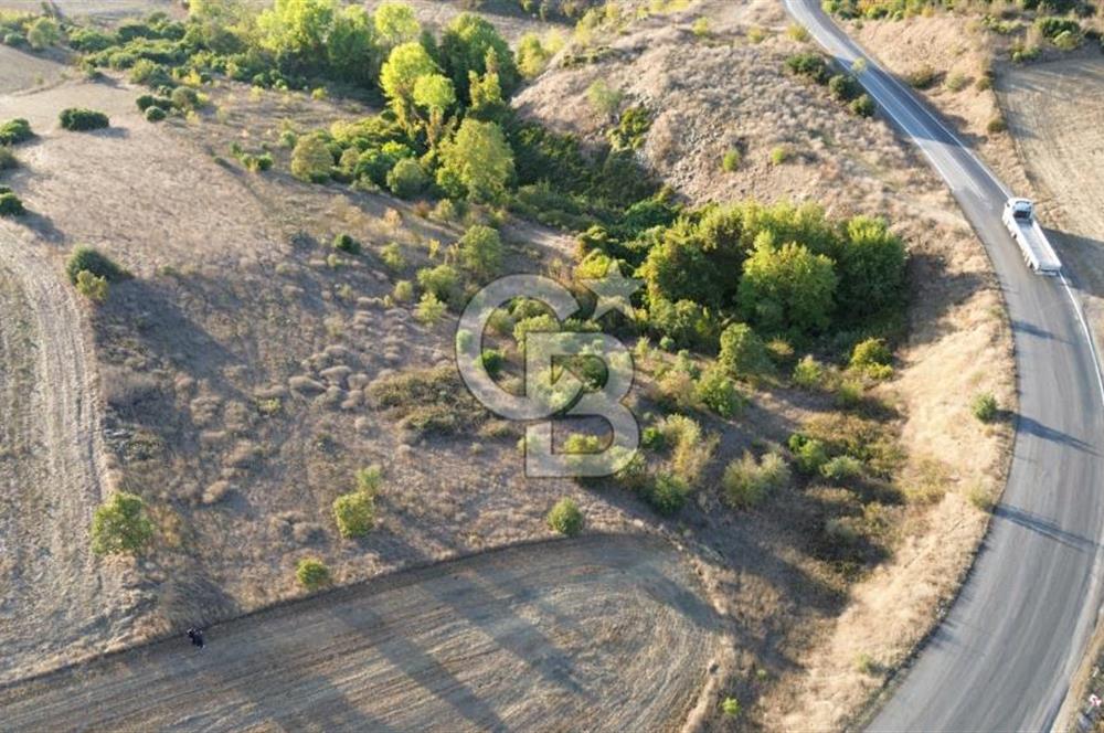 BİGA BEKİRLİDE 4 DÖNÜM SATILIK TARLA