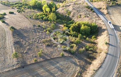 BİGA BEKİRLİDE 4 DÖNÜM SATILIK TARLA