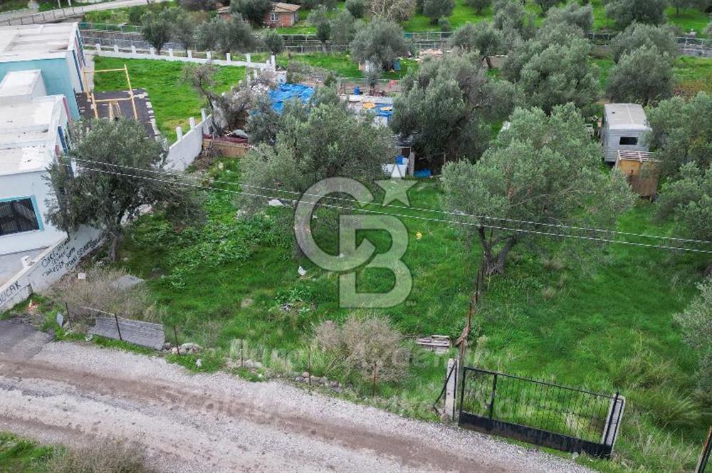 Dikili, Çandarlı’da 15/30 İmarlı 377 m2 Satılık Arsa